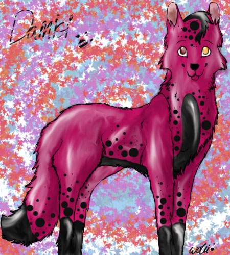 Wolu's puppy - Damisi