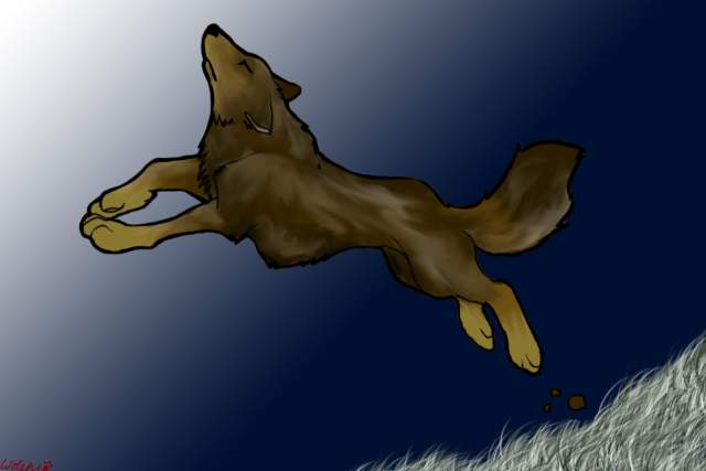 Gravity