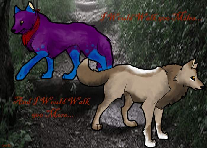 I Would Walk 500 Miles...