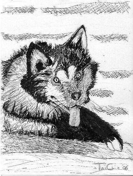 TaiChi-Wolf