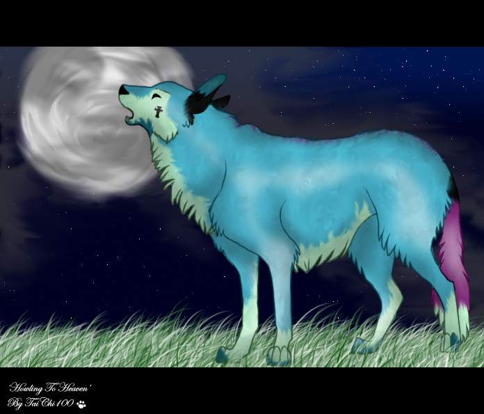 Howling To Heaven