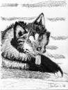 TaiChi-Wolf