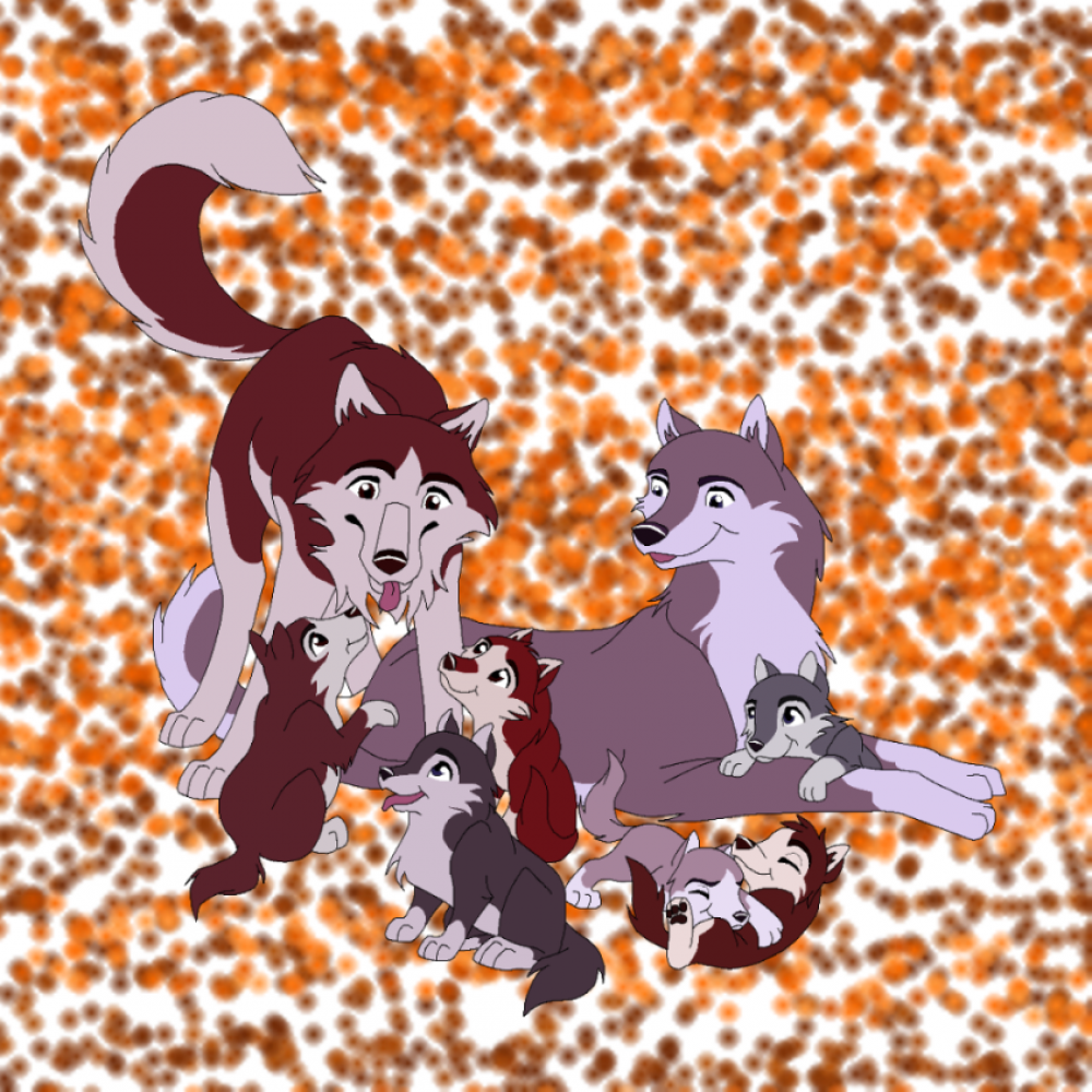 Kodi and Dusty's family