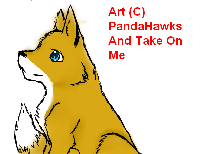 A Fox.