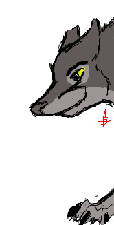 Balto