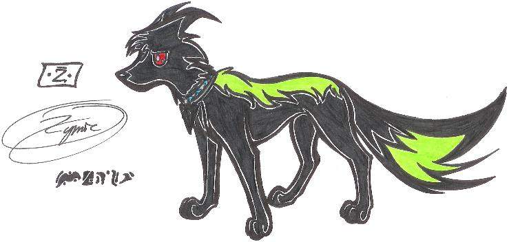 More Zymic