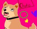 Choko