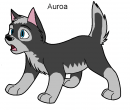 Auroa