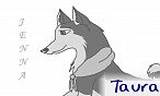 Taura