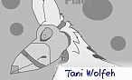 Tani Wolfeh