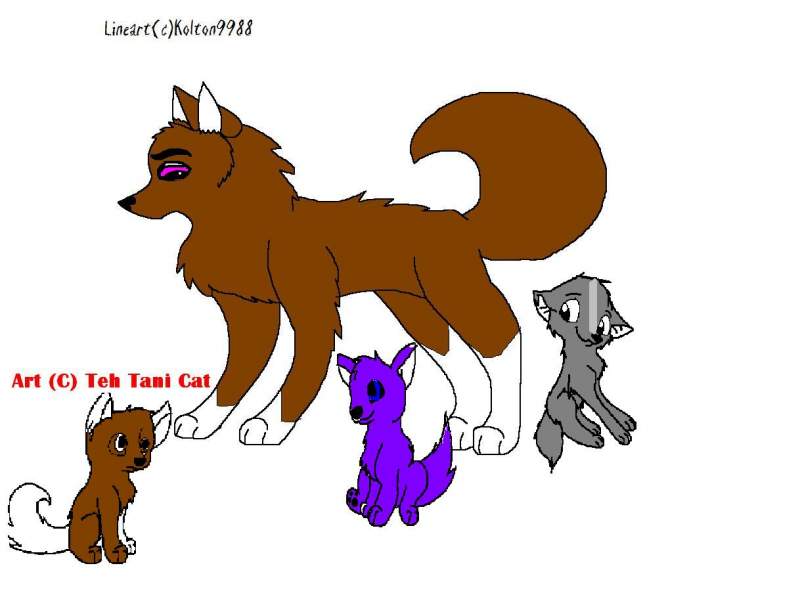 Tani's Sister And Her Pups