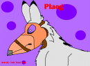 Gift for Plaeg