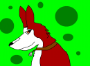 Kodi