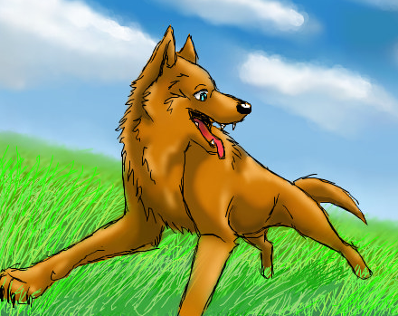 Kemo Runnig (Using Tablet)