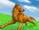 Kemo Runnig (Using Tablet)