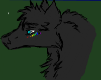 Rainbow Avatar
