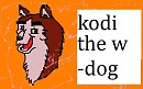 Kodi the wolfdog