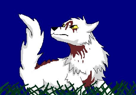 loup blanc
