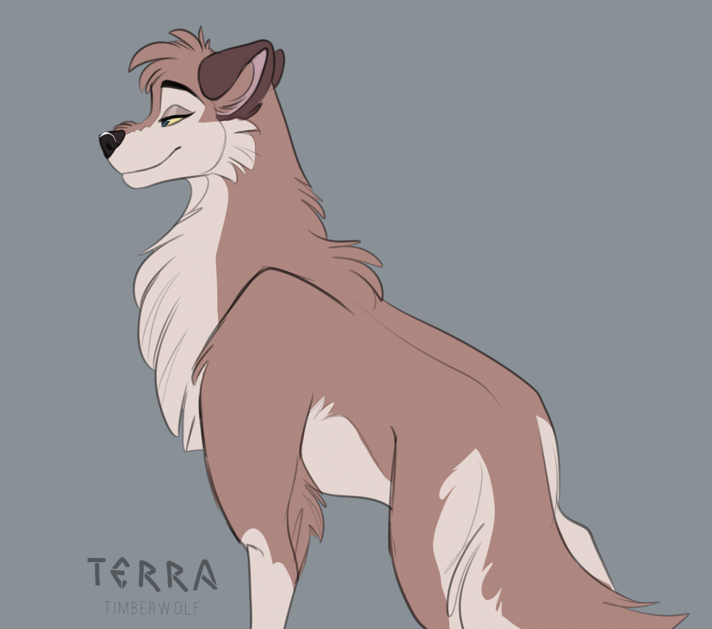 Fave wolfdog
