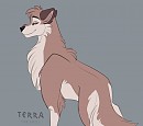 Fave wolfdog
