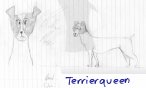 Terrierqueen