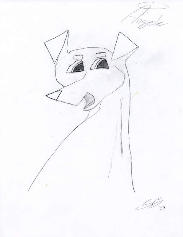 Angele the Min Pin