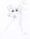 Angele the Min Pin