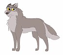 Nava