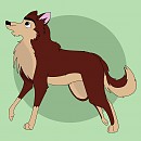 Bingo, it's Dingo