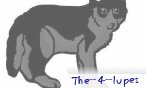 the_4_lupes