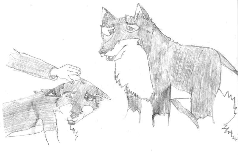 puppy balto and young nava