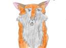 new wolf - Monty