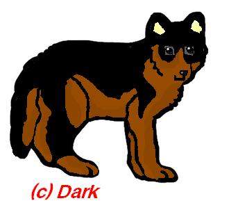 My dream dog