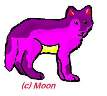 Dark's mate Moon