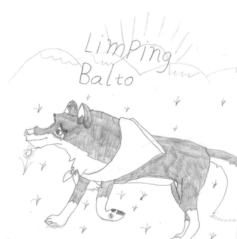 Limping balto
