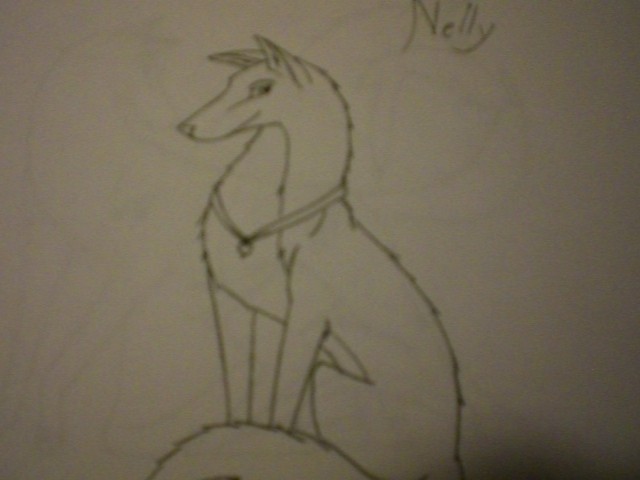Nelly