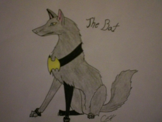 The Bat [me]
