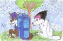 to wolf lion