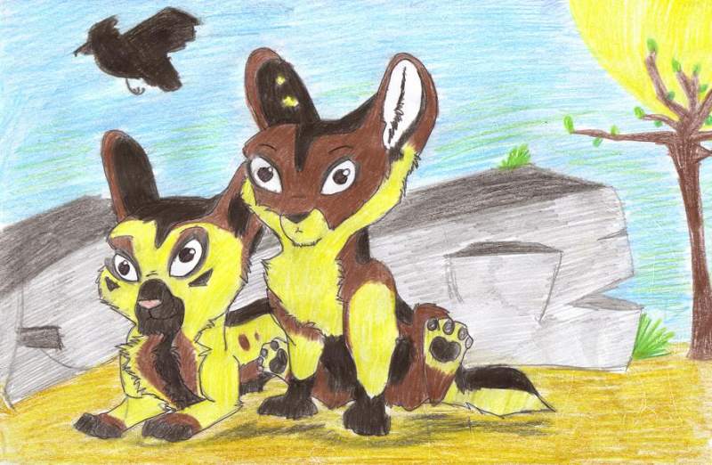 african pups