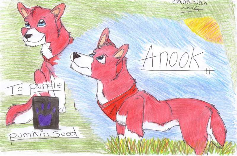 anook