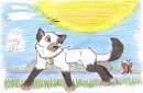 to wolf girl