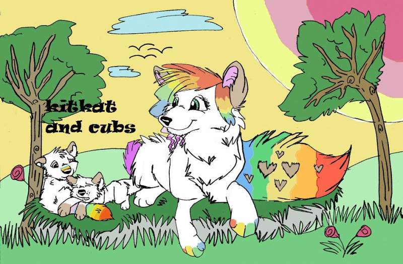 kitkat and cubs
