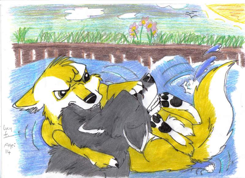 wolfeh fights
