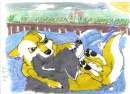 wolfeh fights