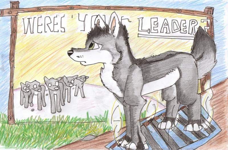 a lone wolfs destiny