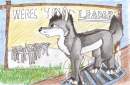 a lone wolfs destiny