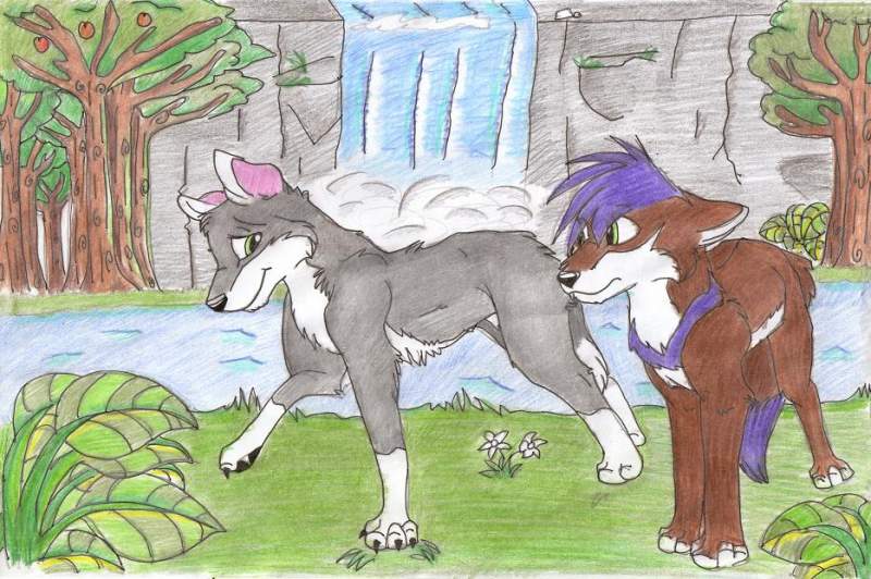 sam and rika