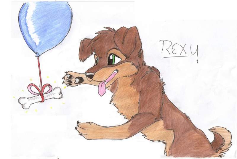 for yade XD