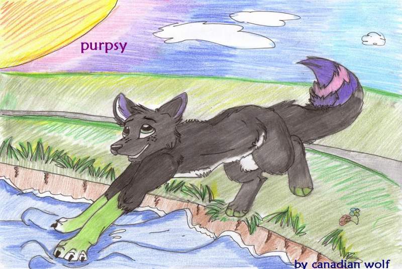 to sams best friend PURPSY!!!
