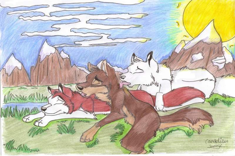 balto kodi and aniu